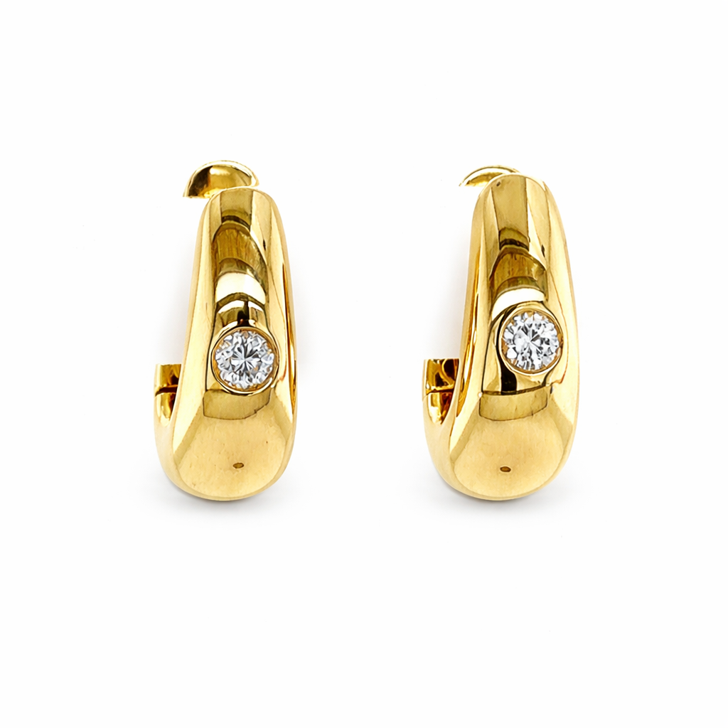 Elegant Hoop Earrings